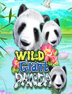 ส่งเงินบาทไทย เว็บพนันบอลออนไลน์ ที่นี่มีแต่ความตื่นเต้น